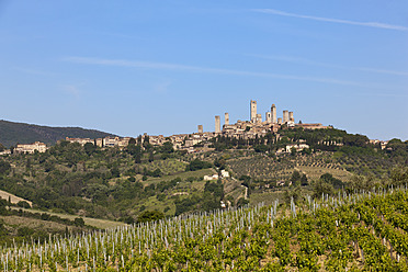 Italien, Toskana, San Gimignano, Blick auf den Weinberg vor der Altstadt - FOF003505