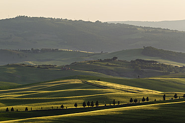 Italy, Tuscany, Crete, View of hilly landscape - FOF003533