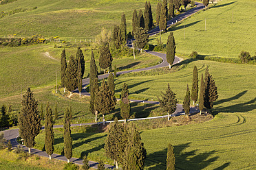 Italien, Toskana, Monticchiello, Blick auf kurvenreiche Straße mit Zypressen - FOF003538