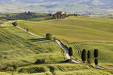 Italy, Tuscany, Val d'Orcia, View of hilly landscape and farm with cypress trees - FOF003539
