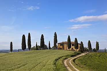 Italien, Toskana, Kreta, Blick auf Bauernhof mit Zypressen - FOF003540