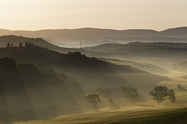 Italien, Toskana, Kreta, Blick auf Bäume und Nebel am Morgen - FOF003542