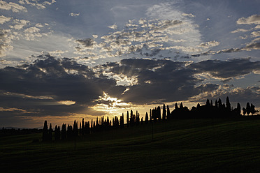 Italy, Tuscany, Crete, View of farm with cypress trees at sunset - FOF003556