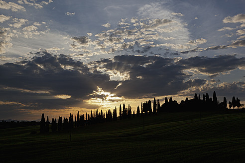 Italien, Toskana, Kreta, Blick auf Bauernhof mit Zypressen bei Sonnenuntergang - FOF003556