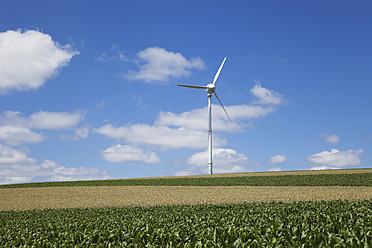 Deutschland, Rheinland-Pfalz, Eifel, Blick auf ein Windrad in einem Maisfeld vor bewölktem Himmel - GWF001564
