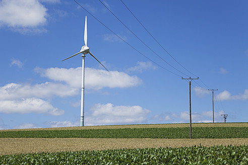 Deutschland, Rheinland-Pfalz, Eifel, Blick auf ein Windrad und eine Stromleitung in einem Maisfeld vor bewölktem Himmel - GWF001566