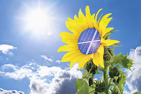 Deutschland, Sonnenblume mit Sonnenkollektor gegen blauen Himmel mit Sonne - TSF000351