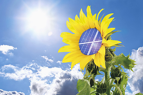 Germany, Sunflower with solar panel against blue sky with sun - TSF000351