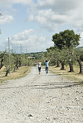 Italien, Toskana, Junges Paar hält sich an den Händen und geht auf der Landstraße - PDF000264