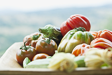 Italy, Tuscany, Magliano, Close up of various vegetables in wood tray - WESTF017322