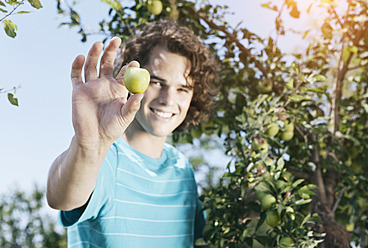 Italien, Toskana, Magliano, Junger Mann mit grüner Olive, lächelnd, Porträt - WESTF017441