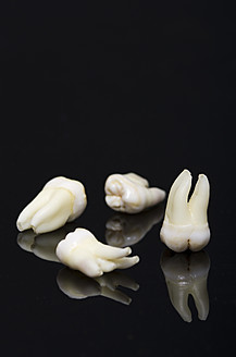 Wisdom tooth on black background - MUF001075