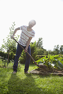 Deutschland, Hamburg, Mann bei der Gartenarbeit im Kleingarten - DBF000175