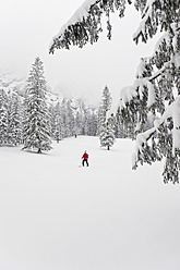 Deutschland, Bayern, Junger Mann beim Telemark-Skifahren im Herzogstand-Bergwald - MIRF000307