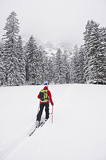 Deutschland, Bayern, Junger Mann beim Telemark-Skifahren im Herzogstand-Bergwald - MIRF000308
