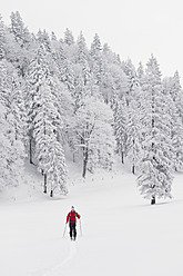 Germany, Bavaria, Young man doing telemark skiing in Herzogstand mountain forest - MIRF000309