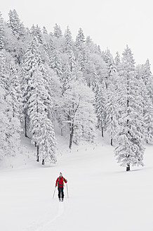 Deutschland, Bayern, Junger Mann beim Telemark-Skifahren im Herzogstand-Bergwald - MIRF000309