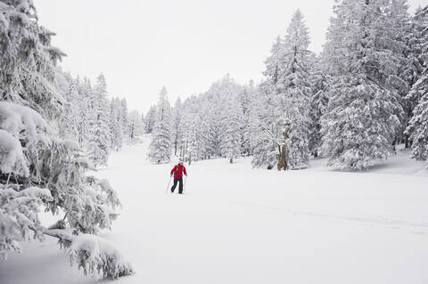 Deutschland, Bayern, Junger Mann beim Telemark-Skifahren im Herzogstand-Bergwald, lizenzfreies Stockfoto