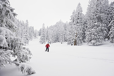 Deutschland, Bayern, Junger Mann beim Telemark-Skifahren im Herzogstand-Bergwald - MIRF000311