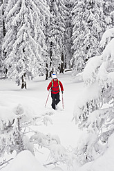 Deutschland, Bayern, Junger Mann beim Telemark-Skifahren im Herzogstand-Bergwald - MIRF000312