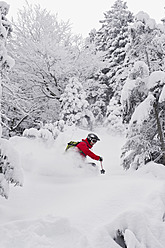 Deutschland, Bayern, Junger Mann beim Telemark-Skifahren im Herzogstand-Bergwald - MIRF000313