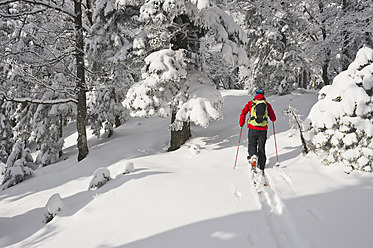 Deutschland, Bayern, Junger Mann beim Telemark-Skifahren im Herzogstand-Bergwald - MIRF000316