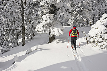 Germany, Bavaria, Young man doing telemark skiing in Herzogstand mountain forest - MIRF000316