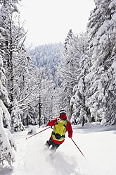 Germany, Bavaria, Young man doing telemark skiing in Herzogstand mountain forest - MIRF000317