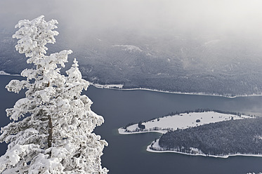 Deutschland, Bayern, Blick auf den Walchensee mit Herzogstand-Bergwald - MIRF000325