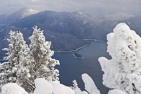 Deutschland, Bayern, Blick auf den Walchensee mit Herzogstand-Bergwald - MIRF000326