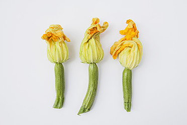 Zucchini with flowers on white background, close up - GWF001575