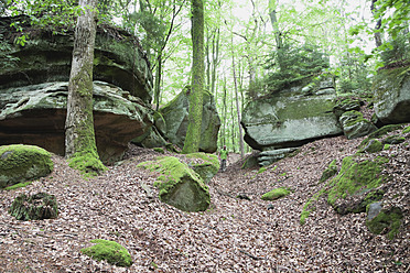 Deutschland, Rheinland-Pfalz, Älterer Mann beim Wandern im Naturpark - GWF001594