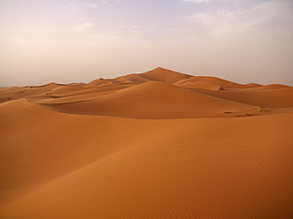 Nordafrika, Marokko, Merzouga, Sanddünen von Erg Chebbi - BSCF000071