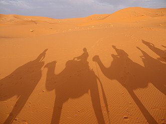 Nordafrika, Marokko, Merzouga, Schatten einer Karawane mit Kamelen und Touristen auf Sand - BSCF000075