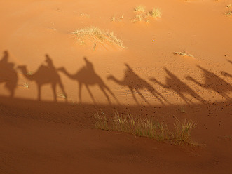 Nordafrika, Marokko, Merzouga, Schatten einer Karawane mit Kamelen und Touristen auf Sand - BSCF000076