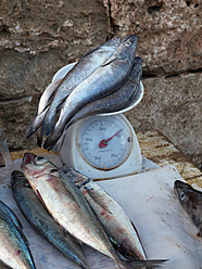 Marokko, Essaouira, Fische auf Schuppen auf dem Fischmarkt - BSCF000089