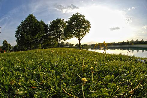 Deutschland, Bayern, Blick auf Bäume und Gras - DKF000190