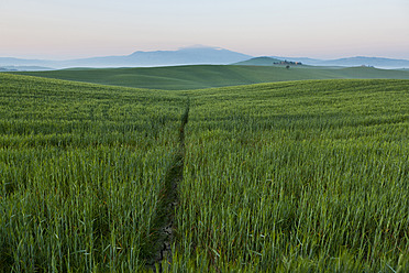 Italien, Toskana, Val d'Orcia, Blick auf die Landschaft am nebligen Morgen - FLF000005