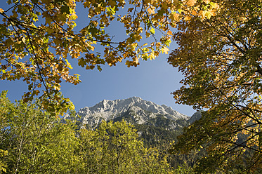 Deutschland, Bayern, Mittenwald, Blick auf Berg mit Baum - RNF000668