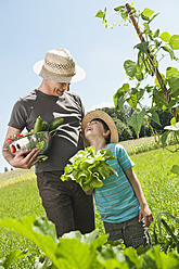 Germany, Bavaria, Grandfather with grandson in vegetable garden, smiling - WESTF017725