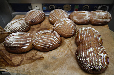 Close-up of freshly baked bread in a wood stove bakery in Egling, Upper Bavaria, Germany - TCF001926