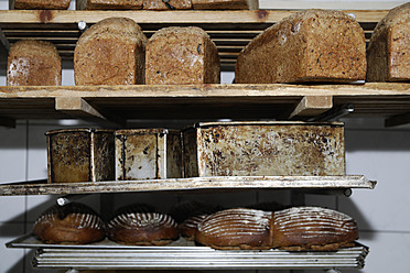 Freshly baked breads on display in a traditional wood stove bakery in Egling, Upper Bavaria, Germany - TCF001930