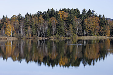 Blick auf Birken und See in Oberbayern, Deutschland - TCF001950