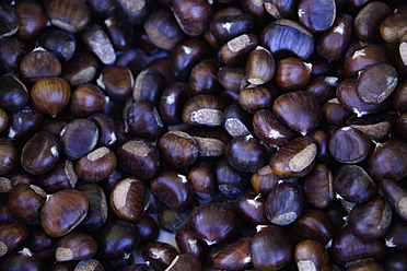 Fresh chestnuts on display at a market in Upper Bavaria, Germany, ready for purchase and consumption - TCF002108