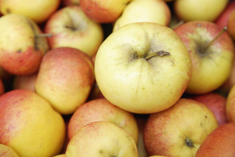 Fresh and juicy apples on display at a market in Wolfratshausen, Upper Bavaria, Germany, ready for purchase stock photo