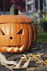 Deutschland, Hessen, Frankfurt, Halloween-Laterne im Garten, Nahaufnahme - MUF001184