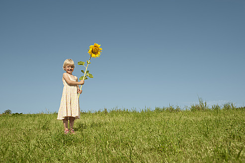 Eine junge Frau genießt die Sonnenstrahlen inmitten eines herrlichen bayerischen Sonnenblumenfeldes und genießt die Wärme und Schönheit - RNF000741