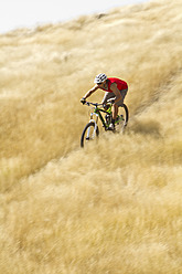 Ein erfahrener Radfahrer genießt eine malerische Fahrt mit seinem Mountainbike durch die wunderschöne Landschaft von Madeira, Portugal - FFF001234