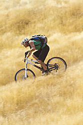 A seasoned cyclist enjoys the scenic trails of Madeira, Portugal on his mountain bike - FFF001233