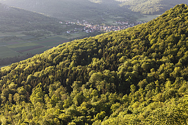 Blick auf das Dorf Leutenbach, eingebettet in einen üppigen Mischwald in der Fränkischen Schweiz, Bayern, Deutschland - SIEF001980